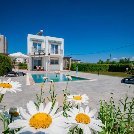 גנאדי Petra Villas מראה חיצוני תמונה